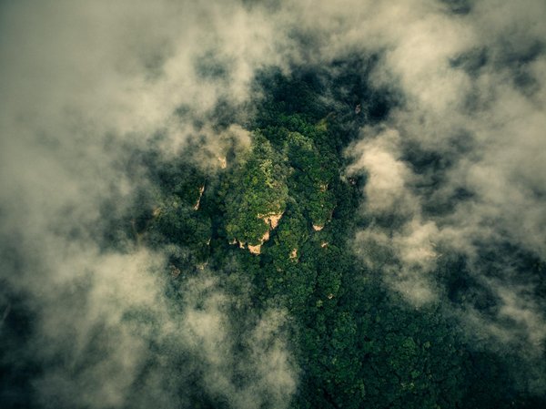 Biographie de Salvador Dali : un génie incompris