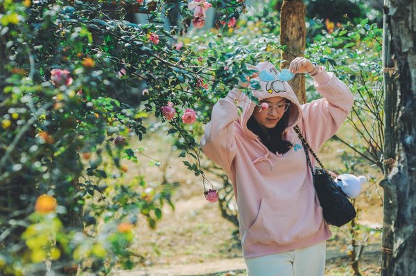 Solidarité et égalité des chances : une relation nécessaire